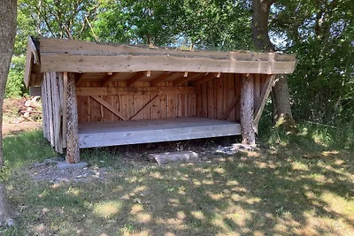 4 Personen Ferienhaus in Thisted-By Traum