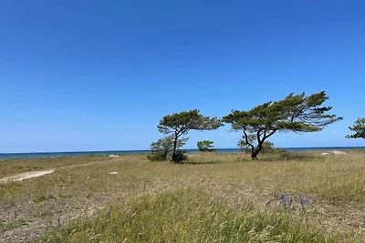 4 Sterne Ferienhaus in Gotlands Tofta