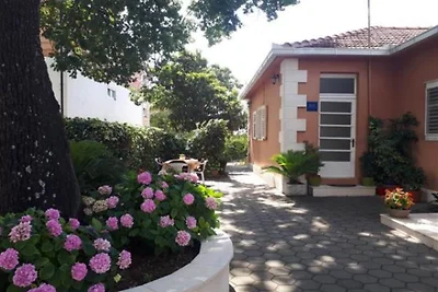 Apartman Borić A2 - Apartment