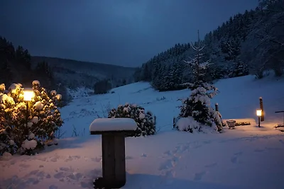 Gruppenvilla mit Waldzugang in Winterberg