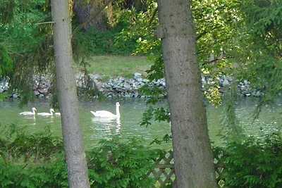 Eldenholz am Reeck-Kanal