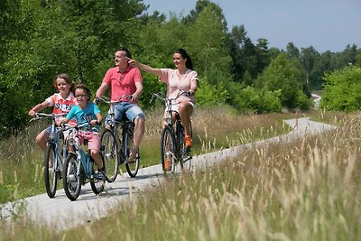 Freistehende Waldvilla mit Spülmaschine in de...