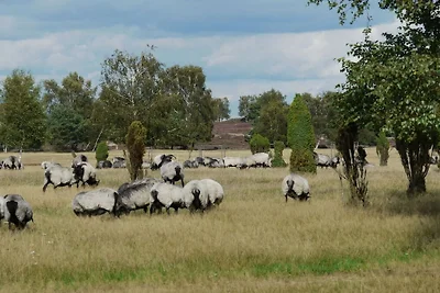 Ferienwohnung in Trebel mit Barbecue