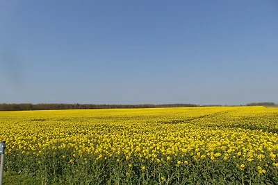 Ferienwohnung in Waase mit Schwimmbecken