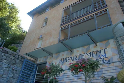 Appartamento tipo D sul Waalweg