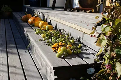 4 Personen Ferienhaus in LUR