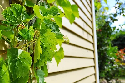 6 Personen Ferienhaus in Mönsterås