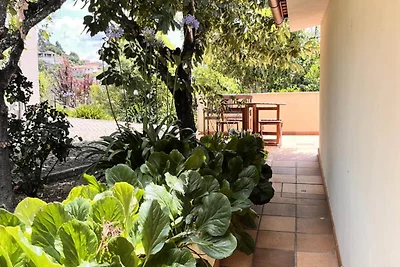 Huis in Cabeceiras met zwembad en tuin