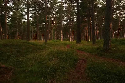 4 persone case ad INGARÖ-By Traum