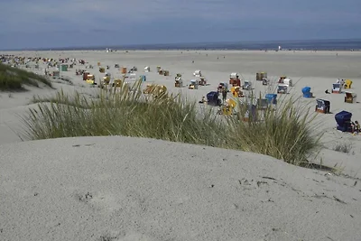 Ferienwohnung in Juist mit Schwimmbecken