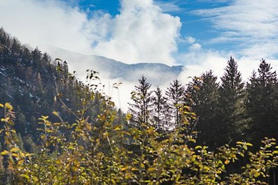 Hütte in Ruhpolding mit Schwimmbecken