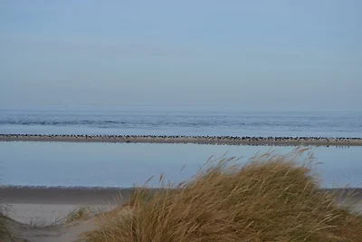 Fijne feestdagen in huis!