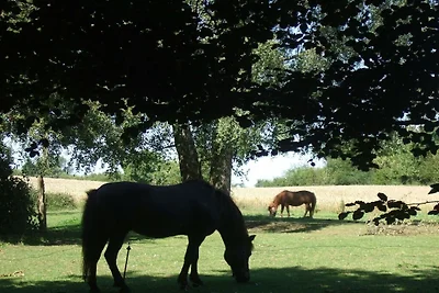Familie Schmidt - melkstal