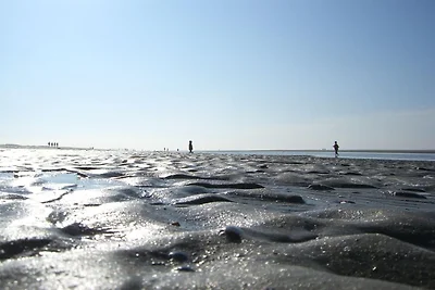 Klabautermann Maywald