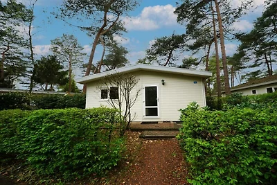 Ferienhaus in Beekbergen mit Terrasse