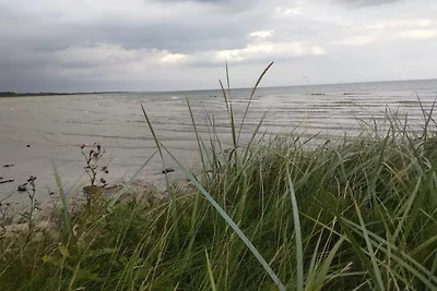 6 persone case ad Hadsund