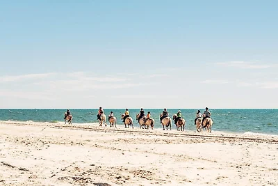7 Personen Ferienhaus in Hvide Sande-By Traum