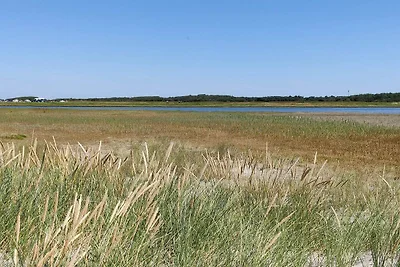 4 Personen Ferienhaus in Læsø