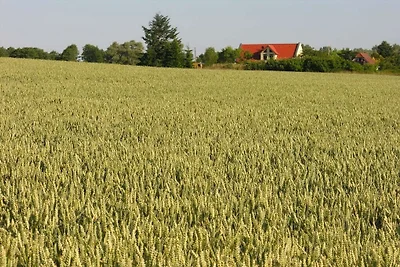 Haus Achterwiek