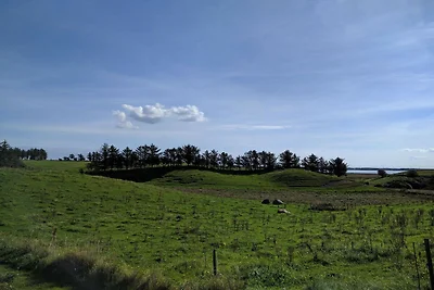 9 persone case ad Hurup Thy-By Traum