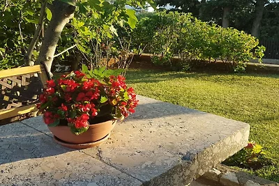 Appartamento per le vacanze a Punat con...