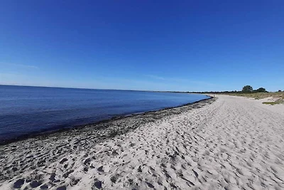 Oase am Strand in Marielyst