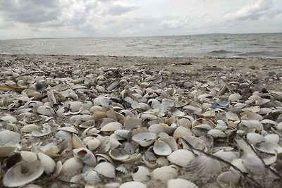 6 Personen Ferienhaus in Løgstør