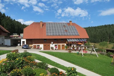 Sonnenschein auf dem Florihof