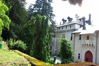 Gerenoveerd kasteel appartement met zwembad