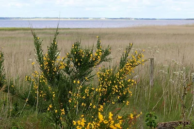6 Personen Ferienhaus in Henne-By Traum