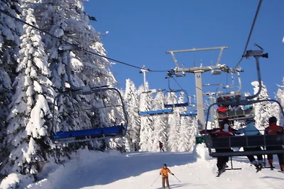Chalet in Nassfeld ski area in Carinthia