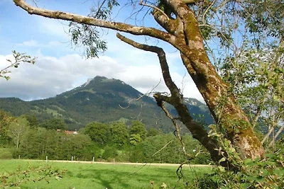Ferienwohnung mit 2 Schlafzimmer