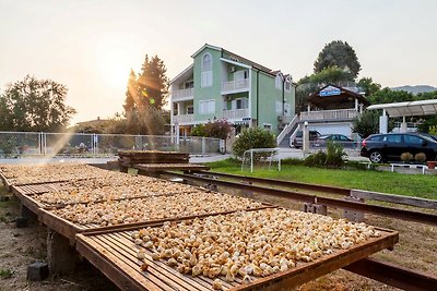 Accogliente villa a Ploče con piscina in...