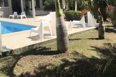 Villa sull'albero del viaggiatore