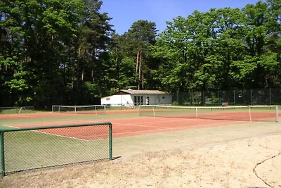 Parco forestale a Roofensee