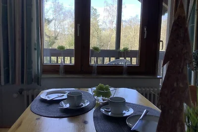 Casa vacanze Vacanza di relax Titisee-Neustadt