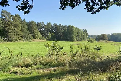 4 Personen Ferienhaus in Ånimskog