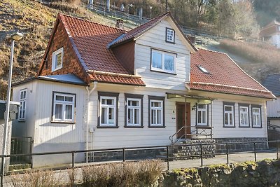Verlockendes Ferienhaus in Wildemann mit priv...