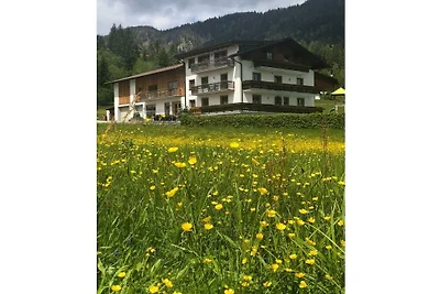 Hornspitz in Moosgut