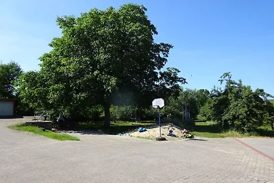 Inmitten eines Bio-Obsthofes
