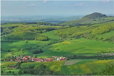 Oset Srebrny Domowy