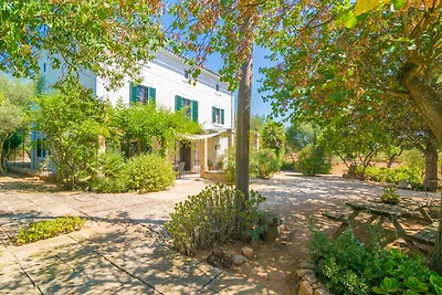 Cas Pilot - Villa Con Piscina Privada.