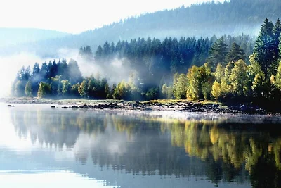 Ferienwohnung mit 1 Schlafzimmer