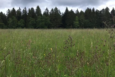 Ober-Kaltenbronnhof