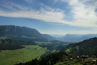 Im Haus Bergblick