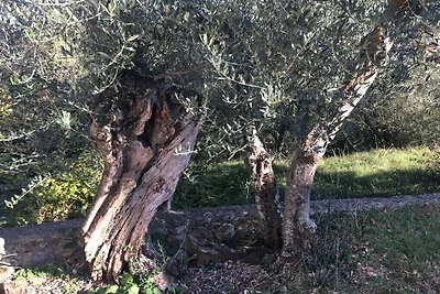 House 33 A Sveta Marina
