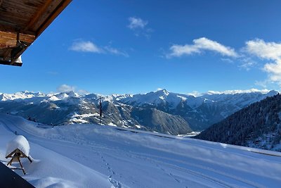 Alpenweide in het Zillertal