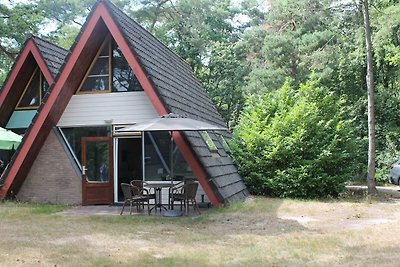 Modernes Ferienhaus in Stramproy im Wald