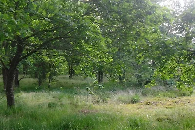 Ferienwohnung in Süderlügum mit Sauna