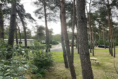 Mobilheim mit Gemeinschaftspool (6 Personen)